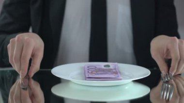 Euro banknot, yeme işadamı kavramı, zimmete para geçirme bütçesinin israf