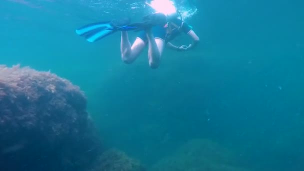 Uomo che indossa attrezzature subacquee nuotare in profondità sott'acqua, biologo della pesca — Video Stock
