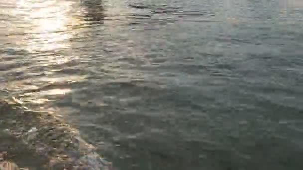 Transporte de turistas en barco en Venecia, Mar Adriático, viajando en el agua — Vídeos de Stock