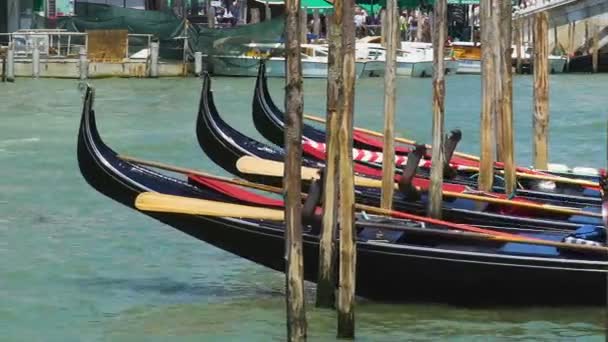 Góndolas decoradas balanceándose en el muelle, taxi acuático en Venecia como atracción turística — Vídeo de stock