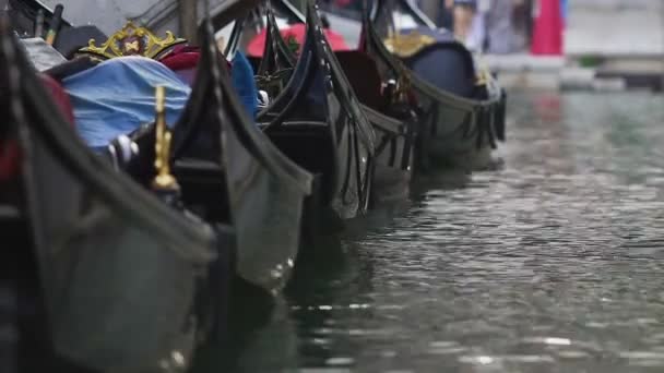 Reihenweise abgestellte Gondeln, Schaukeln auf dem Wasser, Retro-Taxi für Touristen in Venedig — Stockvideo