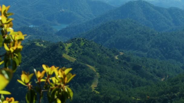 Зелені гірські пагорби в сонячний літній день, дивовижна природа, спокій на відкритому повітрі — стокове відео