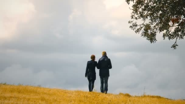 Couple romantique de jeunes gens marchant sur le terrain, les relations et l'amour, date — Video
