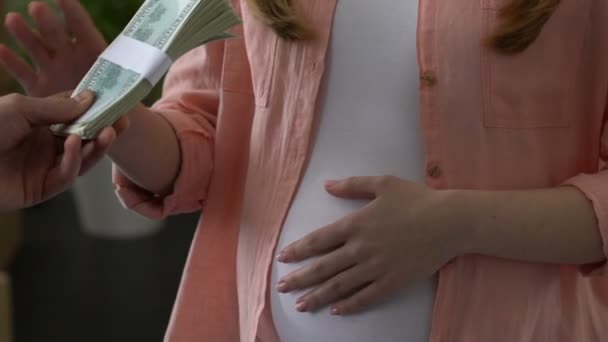 Mujer embarazada tomando dinero, recibiendo pensión alimenticia, subrogación, capital materno — Vídeos de Stock