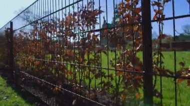 Antik Rosenborg Castle, tarihi bina Rönesans Danimarka gezi
