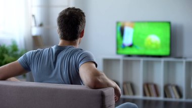 Adamım, evde büyük ekranda izlerken futbol maçı onun favori takım tezahürat