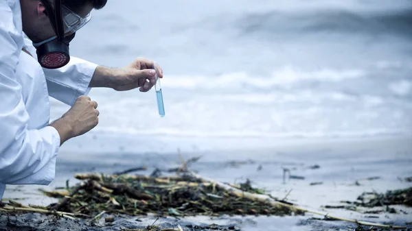 Ученые Берут Образец Воды Берегу Моря Проблемы Здоровьем Вызванные Загрязнением — стоковое фото