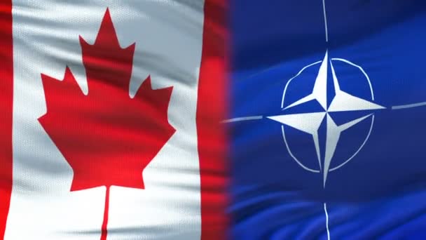 Bryssel, Belgien - Circa juni 2018: Kanada och Ukraina handslag internationella vänskap relationer, flagga bakgrund — Stockvideo