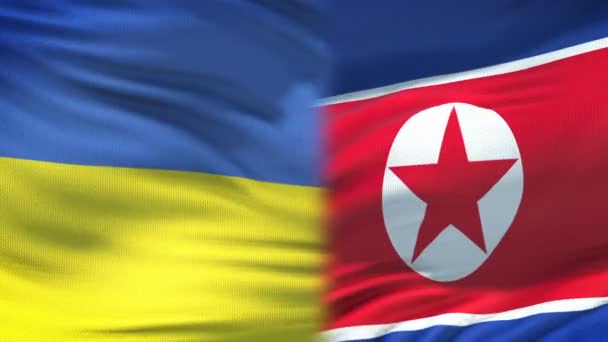 Ukraine and North Korea handshake, international friendship, flag background — Stock Video