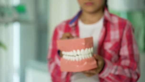 Niña sosteniendo modelo de mandíbula, servicios dentales para niños, diagnóstico de caries — Vídeos de Stock