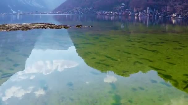 Lago Wolfgangsee en Austria, hermosa naturaleza, reflejo de agua clara, aérea — Vídeos de Stock