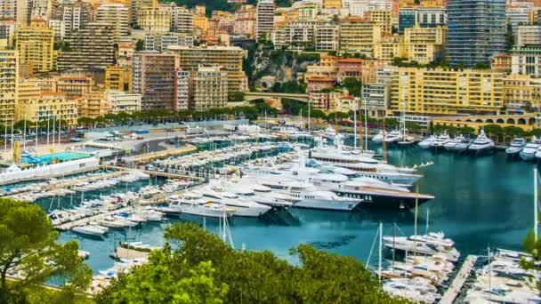 Nizza porto della città con bellissimi yacht bianchi ed edifici residenziali, turismo — Video Stock