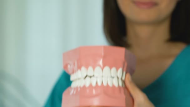 Стоматолог показывает модель челюсти, дает уроки по правильному уходу за зубами и полостью рта — стоковое видео