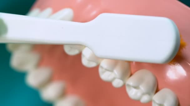 Правильные рекомендации врача клиники по чистке зубов, уходу за полостью рта, медицине — стоковое видео