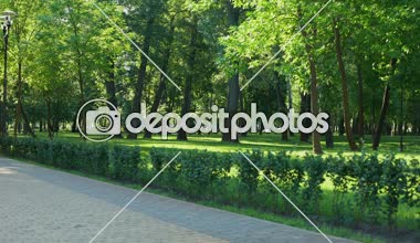 Şişman adam şiddetle Park, losing ağırlık, motive kalıcı koşu