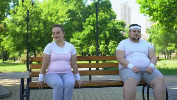 Zwei niedliche fettleibige Menschen, die bescheiden auf der Bank sitzen, zu schüchtern, um sich kennenzulernen — Stockvideo