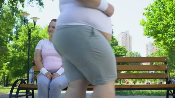 Şişman genç adam oldukça obez Bayan park, güven oturan ile BH'li — Stok video