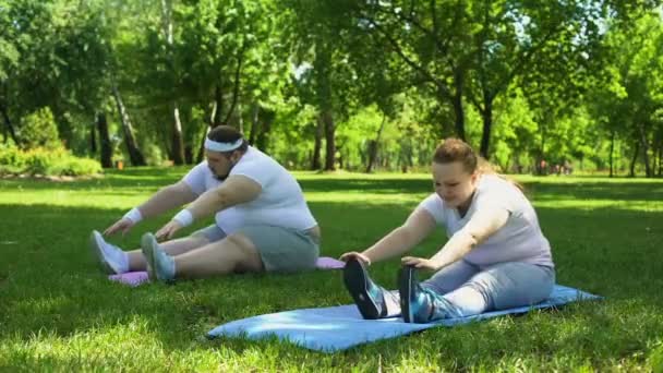 Obez çift birlikte sağlıklı yaşam, başlamak egzersizleri yapıyor destek — Stok video