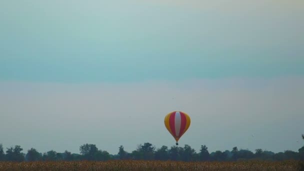 Balon, flying przed wieczorem na tle nieba nad polami, pojęcie ojczyzny — Wideo stockowe