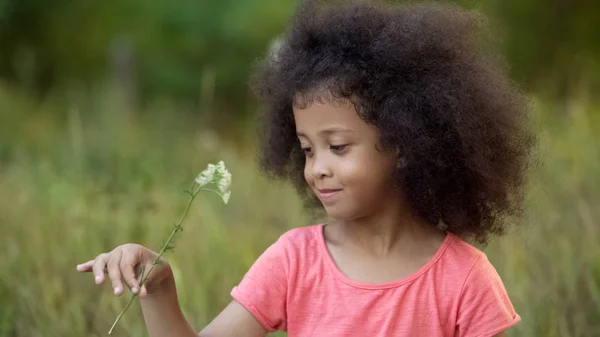 Маленький Самотній Дитина Стоїть Саду Грає Маленькою Білою Квіткою — стокове фото