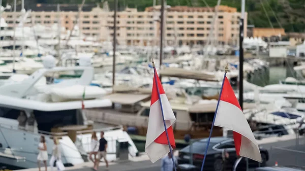 Porto Mônaco Com Iates Particulares Atracados Recreação Luxo Embarcações Caras — Fotografia de Stock
