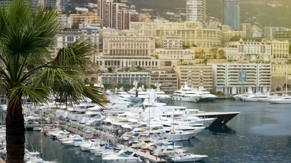 Розкіш Нерухомість Монако Багато Сучасними Житловими Будинками Яхти Гавані — стокове фото