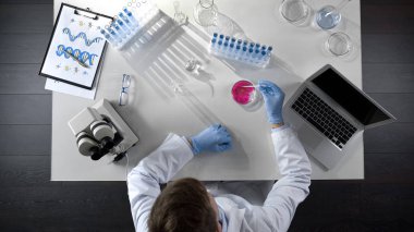 Laboratorian iki kimyasal maddeler tabak, bilimsel araştırma üstten görünüm içinde birleştiren