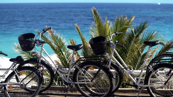 Bicycles for rent during vacation at resort town, active recreation for family