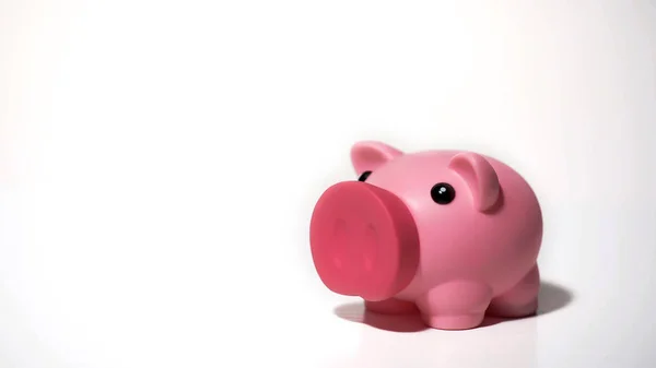 Cute Piggy Bank Saving Assets Personal Account Investment Deposit Interest Stock Picture