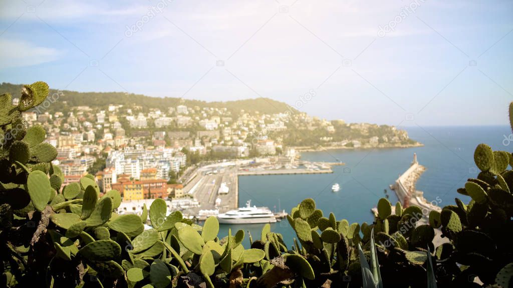 Stunning view of Nice city and port behind green cactuses, travel to France