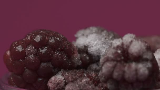 Berries Defrosting Macro View Dessert Ingredients Organic Nutrition Fresh Bar — Stock Video