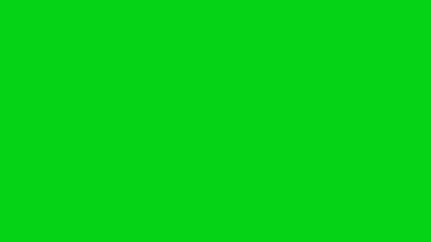 Businessmen Conflict Fists Green Screen Background Market Competition — Stock Video
