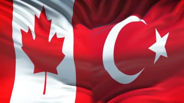 加拿大 土耳其冲突 国际关系 拳旗背景 — 图库视频影像