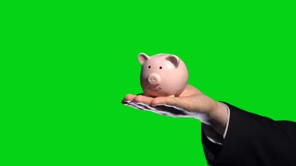 Investor Puts Money Partners Piggybank Green Screen Background Financial Aid — Stock Video