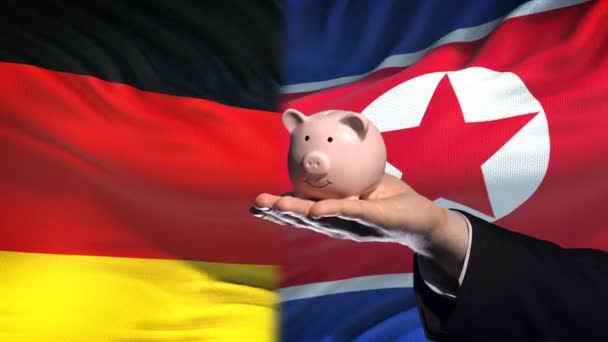Germany Investment North Korea Hand Puts Money Piggybank Flag Background — Stock Video