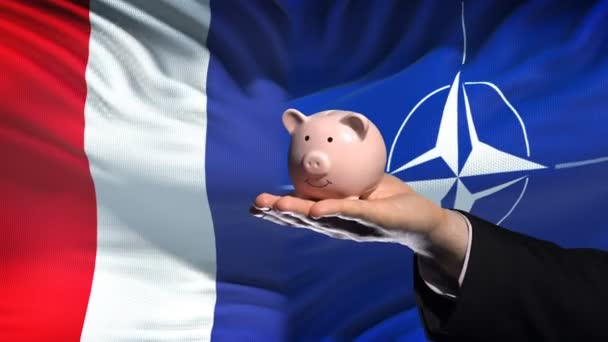 Nato Piggybank 旗の背景にお金を入れて手でブリュッセル ベルギー 2018 フランス投資 — ストック動画
