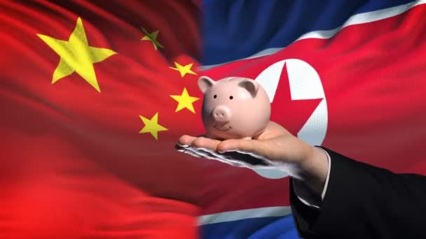 China Investment North Korea Hand Putting Money Piggybank Flag Background — Stock Video