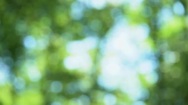 Katılmadan eller, romantik ilişkiler, tarihi açık, iki Eşcinsel erkekler beraberlik