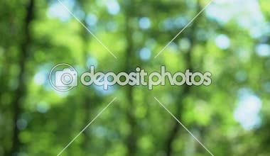 Elele, iki genç erkek bağlantı, cinsel yönelim, sevgi aşk