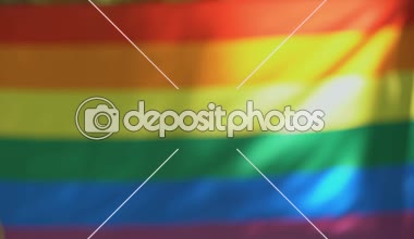 Eşcinsel erkek alyans koyarak ortağı, lgbt bayrak arka plan, eşitlik