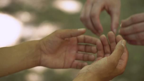 Zwei Liebevolle Männer Händchenhalten Fürsorge Und Unterstützung Homosexuelle Beziehungen Romantik — Stockvideo