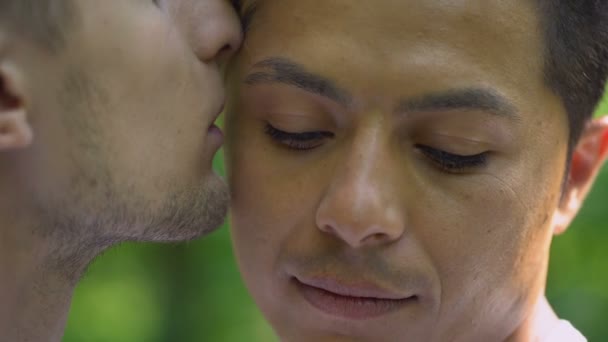 Manliga Kyssar Älskare Och Tittar Kameran Homosexuellas Rättigheter Romantisk Relation — Stockvideo