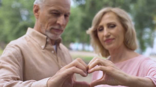 Pareja Anciana Sonriente Mostrando Signo Corazón Símbolo Amor Matrimonio Feliz — Vídeo de stock