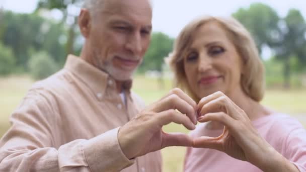 Feliz Casal Sênior Mostrando Gesto Coração Amor Juntos Alma Gêmea — Vídeo de Stock