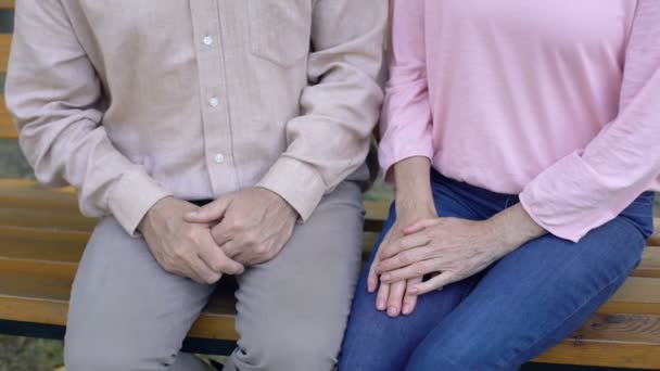 Casal Velho Beijando Parque Casamento Feliz Amor Forte Cuidado Para — Vídeo de Stock