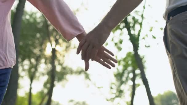 Доросла Пара Тримає Руки Ходить Парку Разом Через Життєві Труднощі — стокове відео