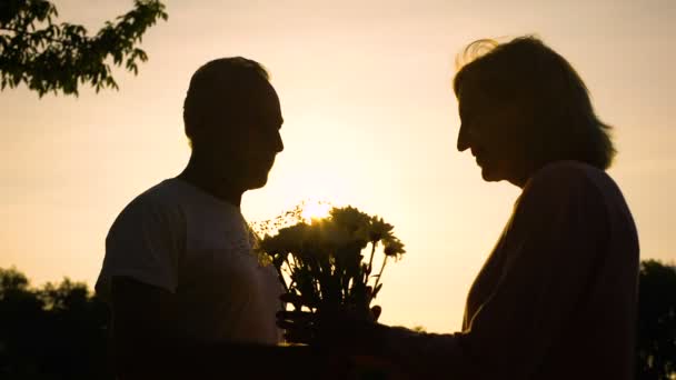 Silhouet Van Oude Man Bloemen Geven Aan Vrouw Romantische Datum — Stockvideo