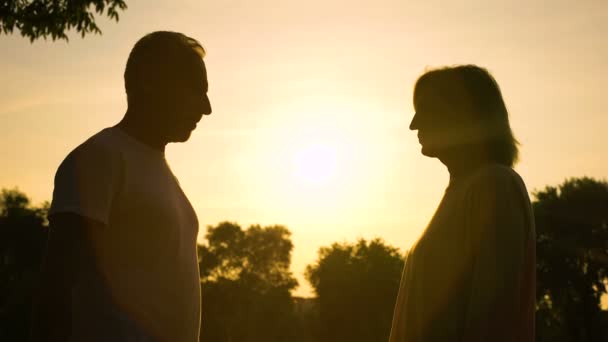 Σιλουέτα Του Ευτυχισμένο Ζευγάρι Συνεδρίαση Στο Ηλιοβασίλεμα Ρομαντική Ημερομηνία Εσωτερική — Αρχείο Βίντεο