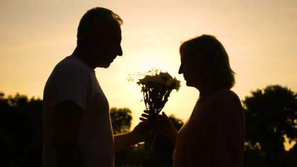 Silhouette Gentiluomo Baciare Mano Alla Moglie Coppia Anziana Innamorata Romanticismo — Video Stock