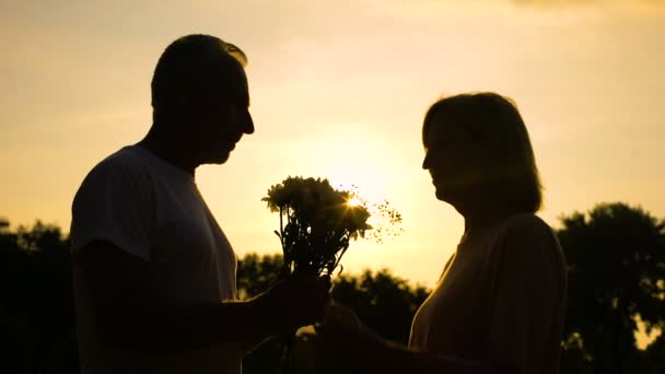 Silhouet Van Man Flirten Met Vrouw Praten Particulier Geluk Oude — Stockvideo